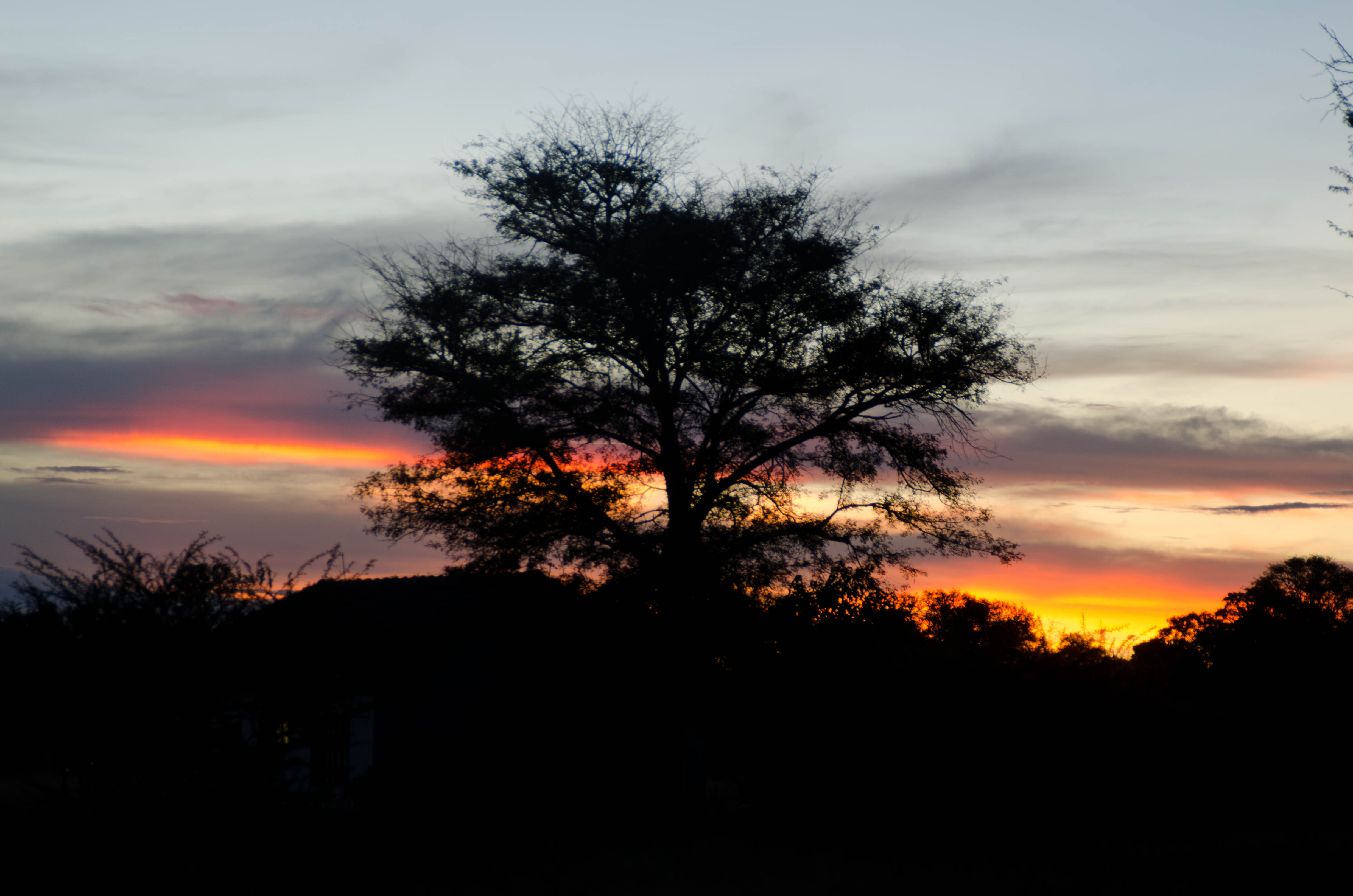 _DSC8096s.jpg