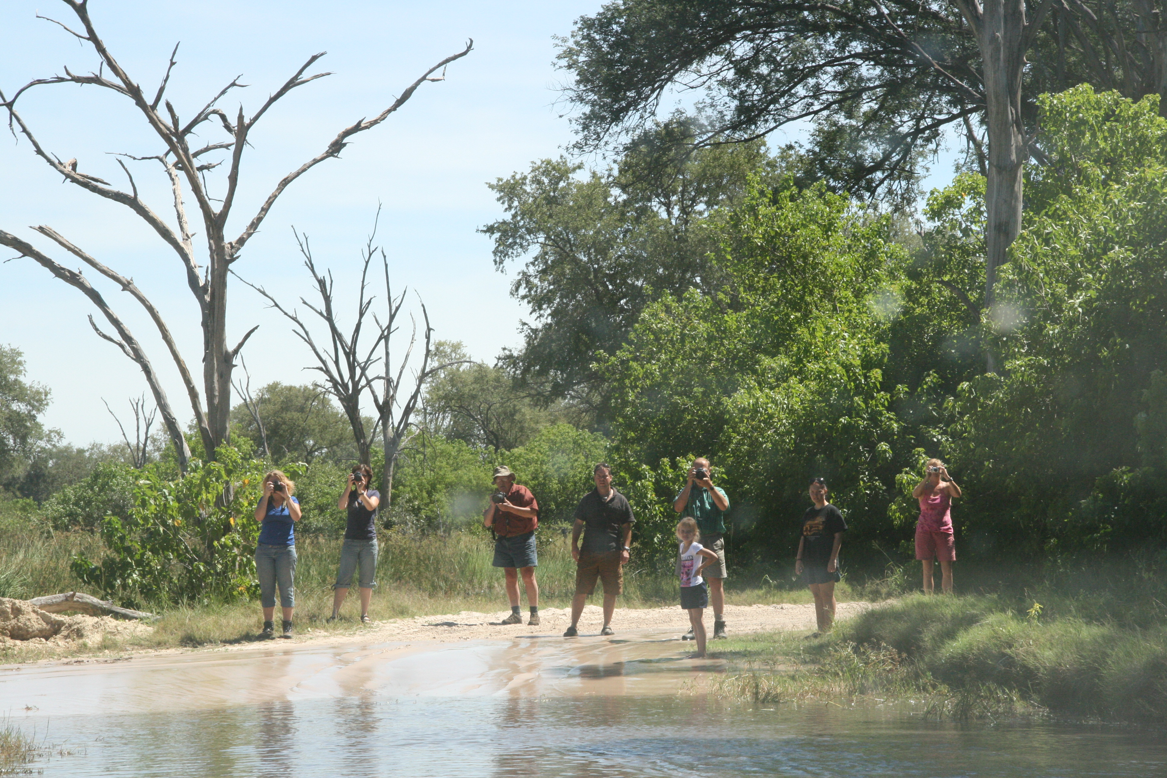 moremi142012 101.JPG