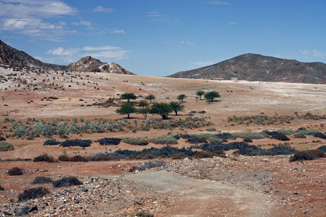 Richtersveld World Heritage Site