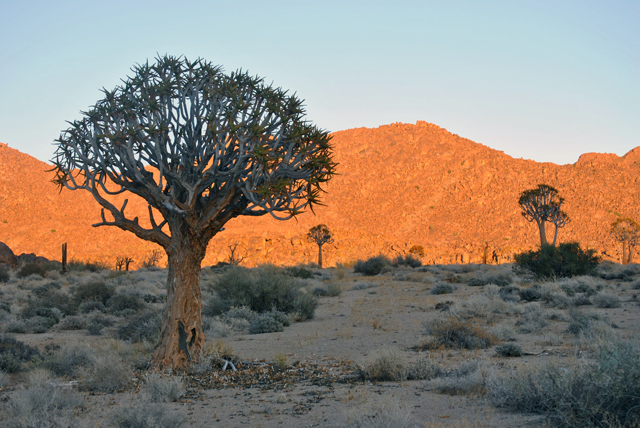 Kokerboomkloof at sunrise (by Melissa Jordaan (15))