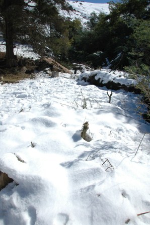 DSC_0195.JPG
