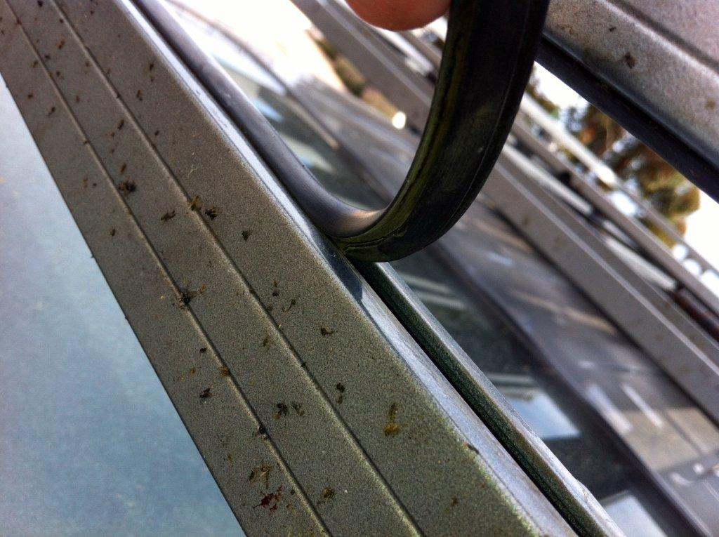 Outback Rubbers 2.jpg