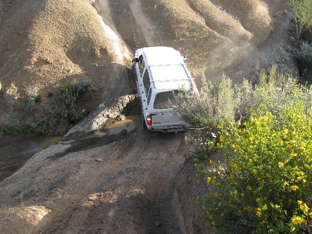 IMG_0368.jpg