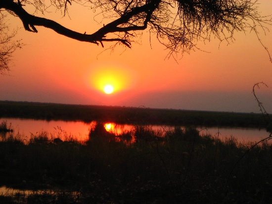 OKAVANGO ROEP.jpg