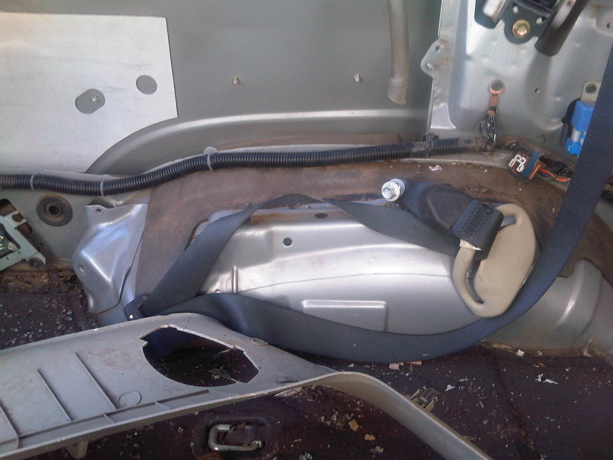IMG-20110428-00005.jpg