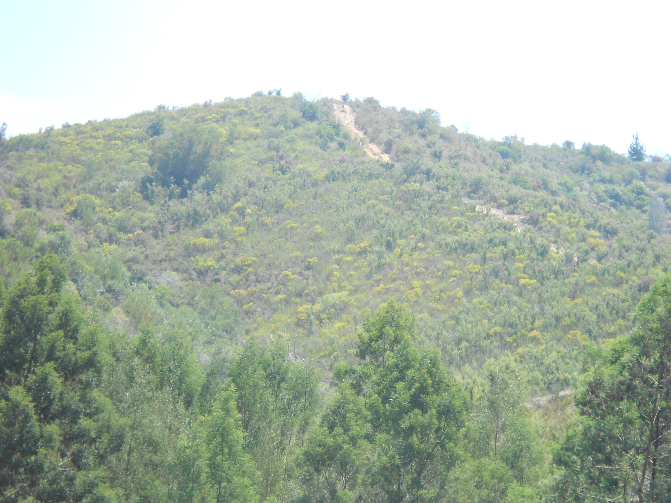 DSCN0355.JPG