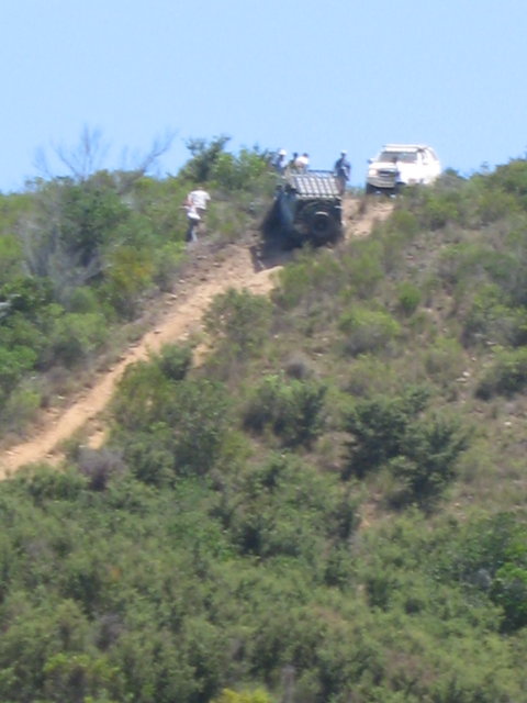 IMG_3042_1.JPG