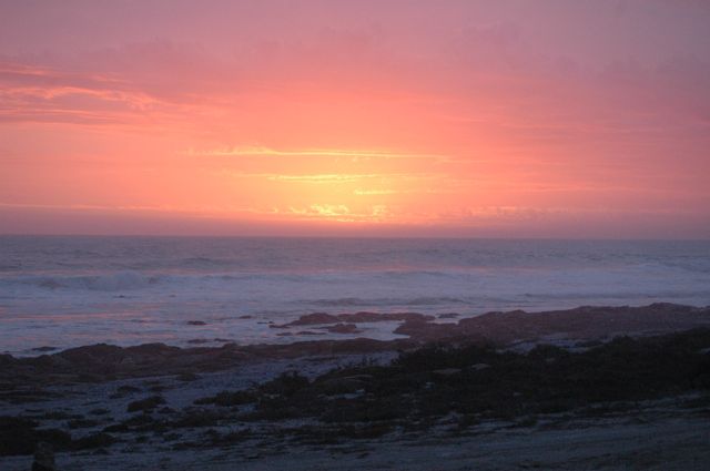 DSC_0044.jpg