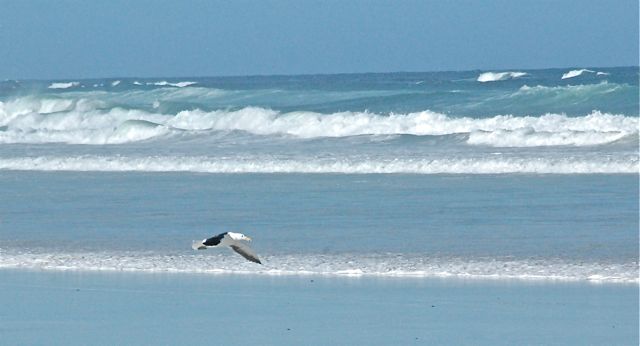 Pearly Beach