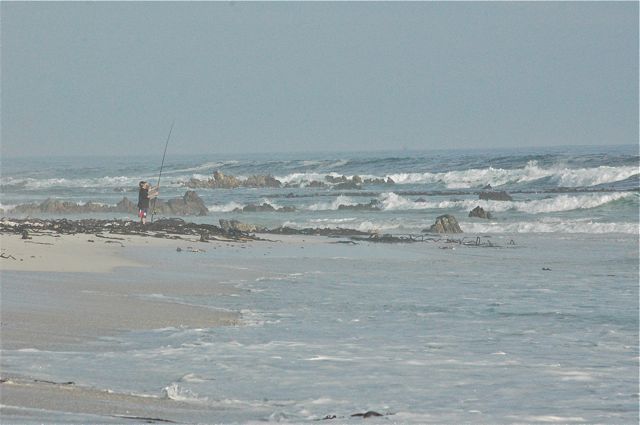 Pearly Beach