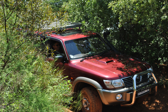 DSC_0141e.jpg