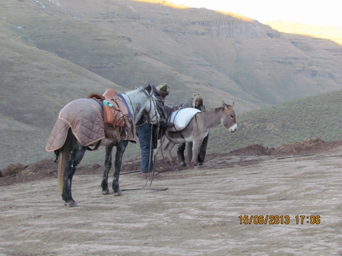 Donkey loading dock....hahaha