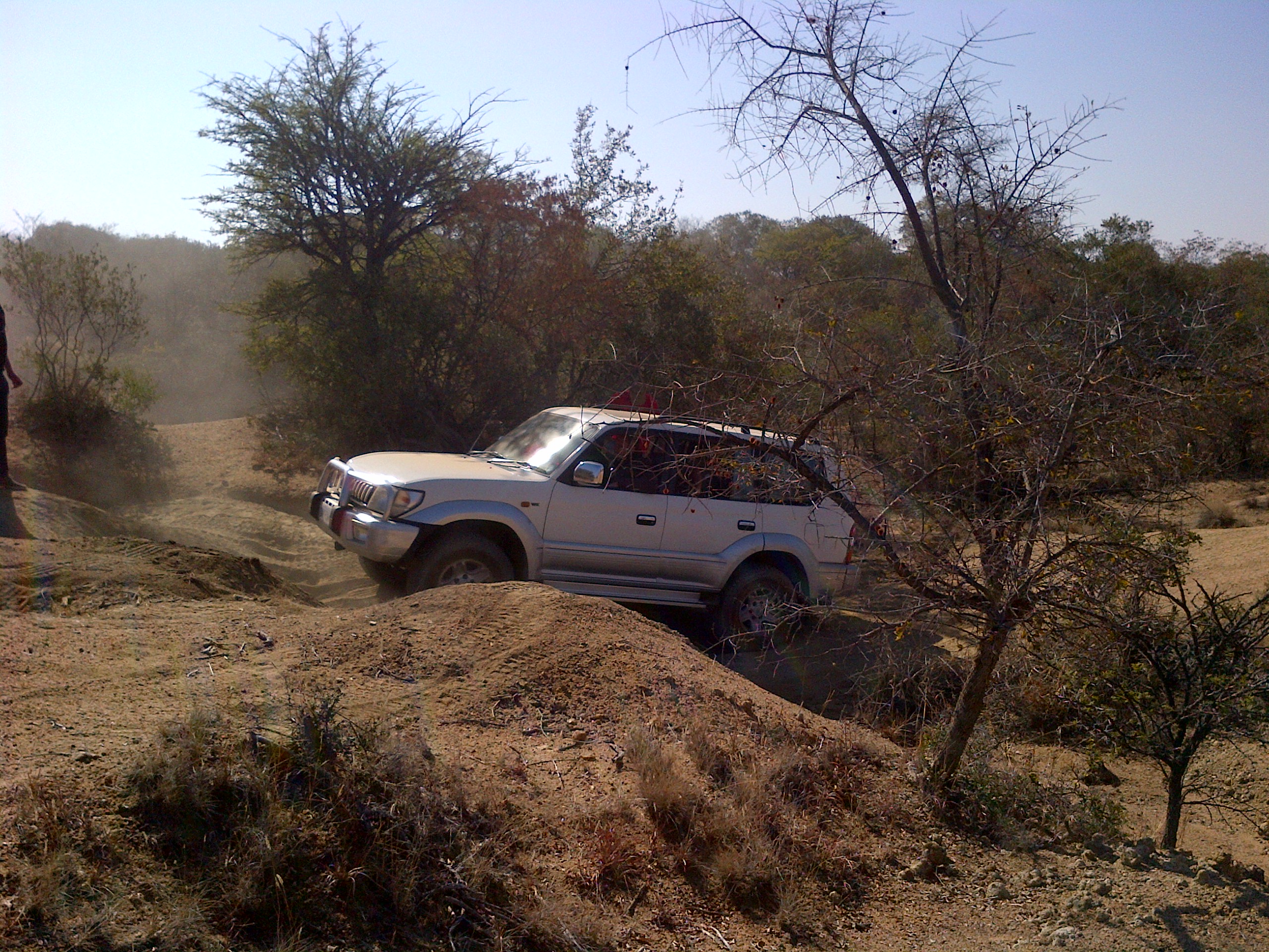 This Prado was less successful....