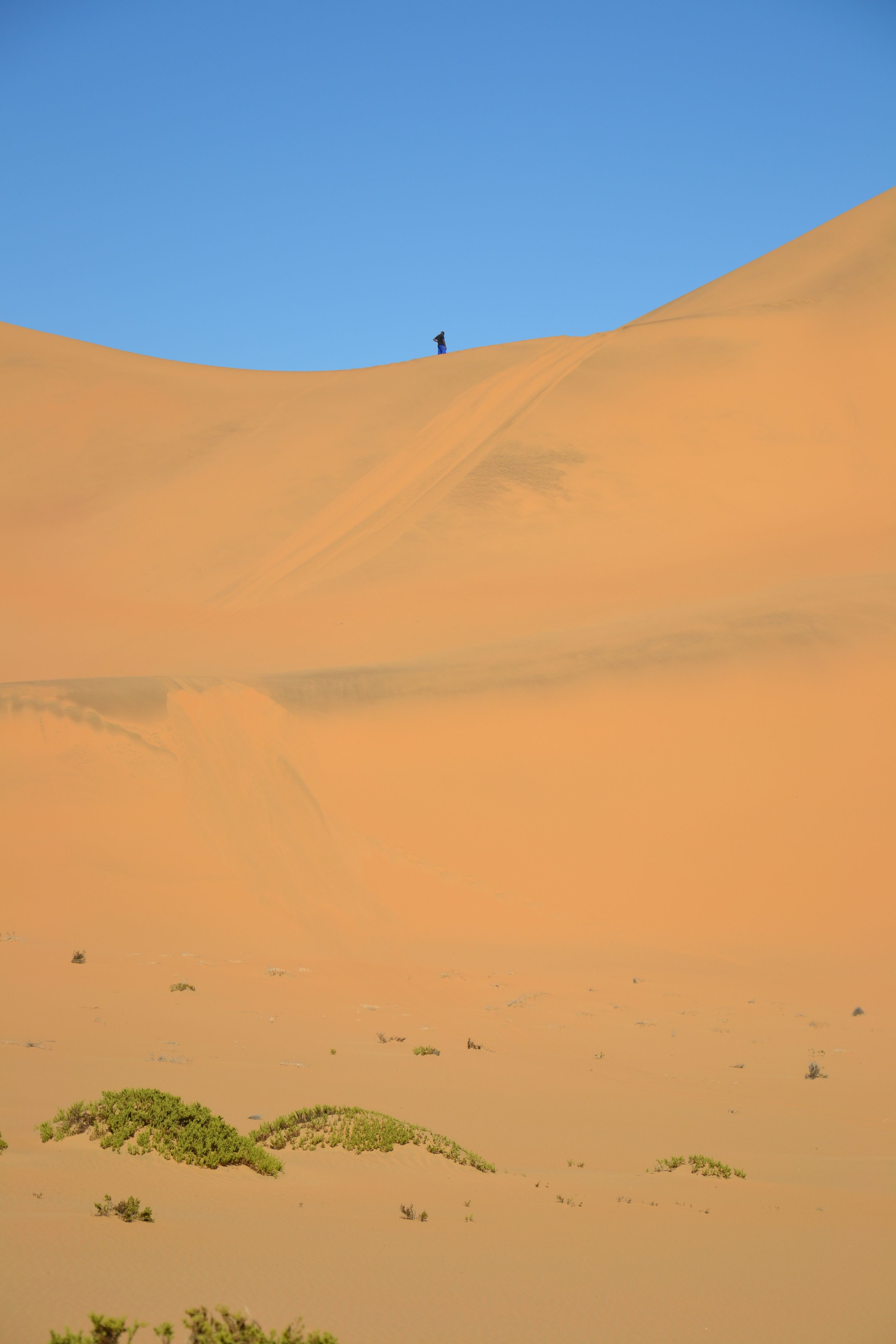 DSC_0512.jpg
