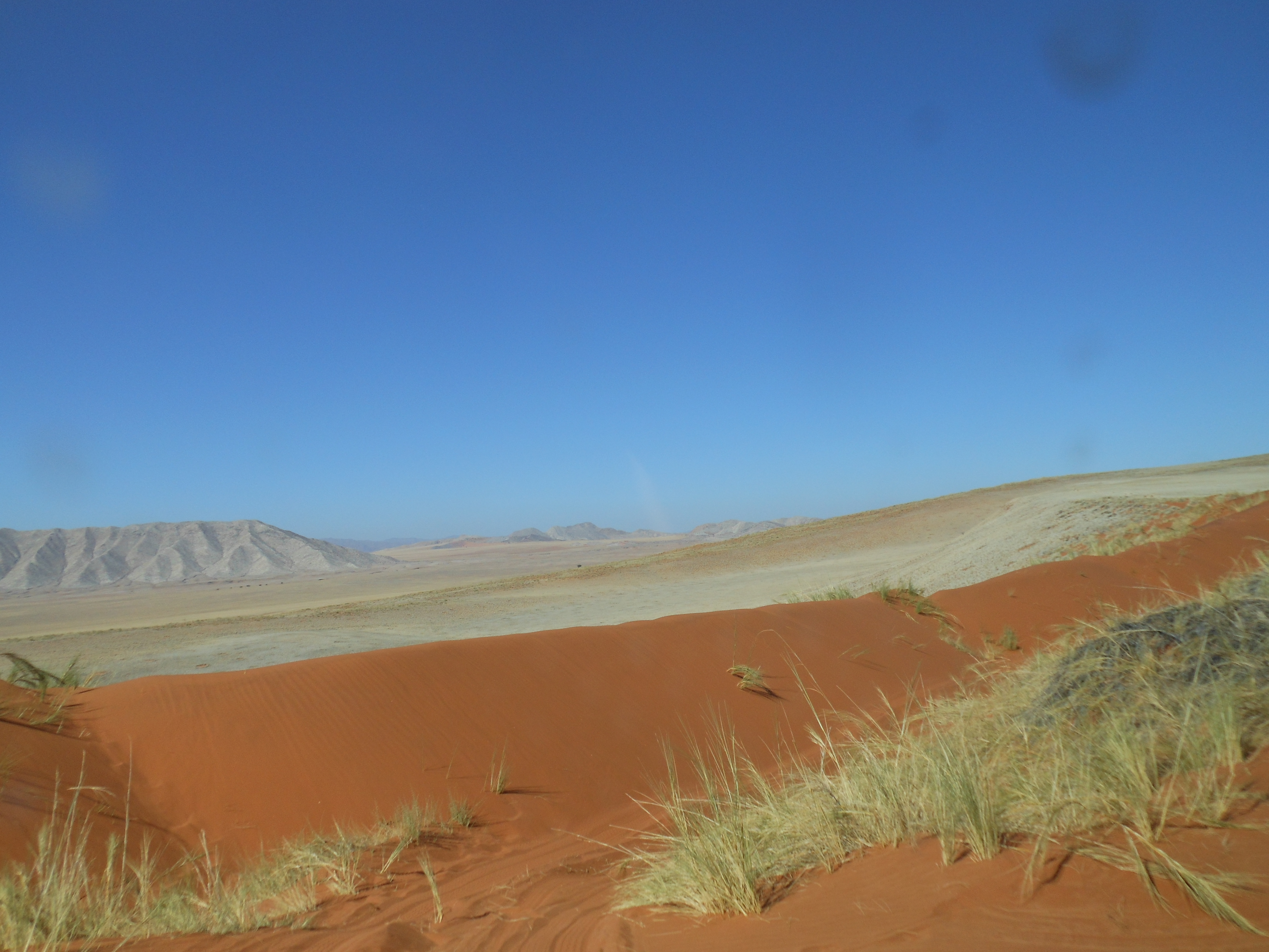 DSCN1494.JPG