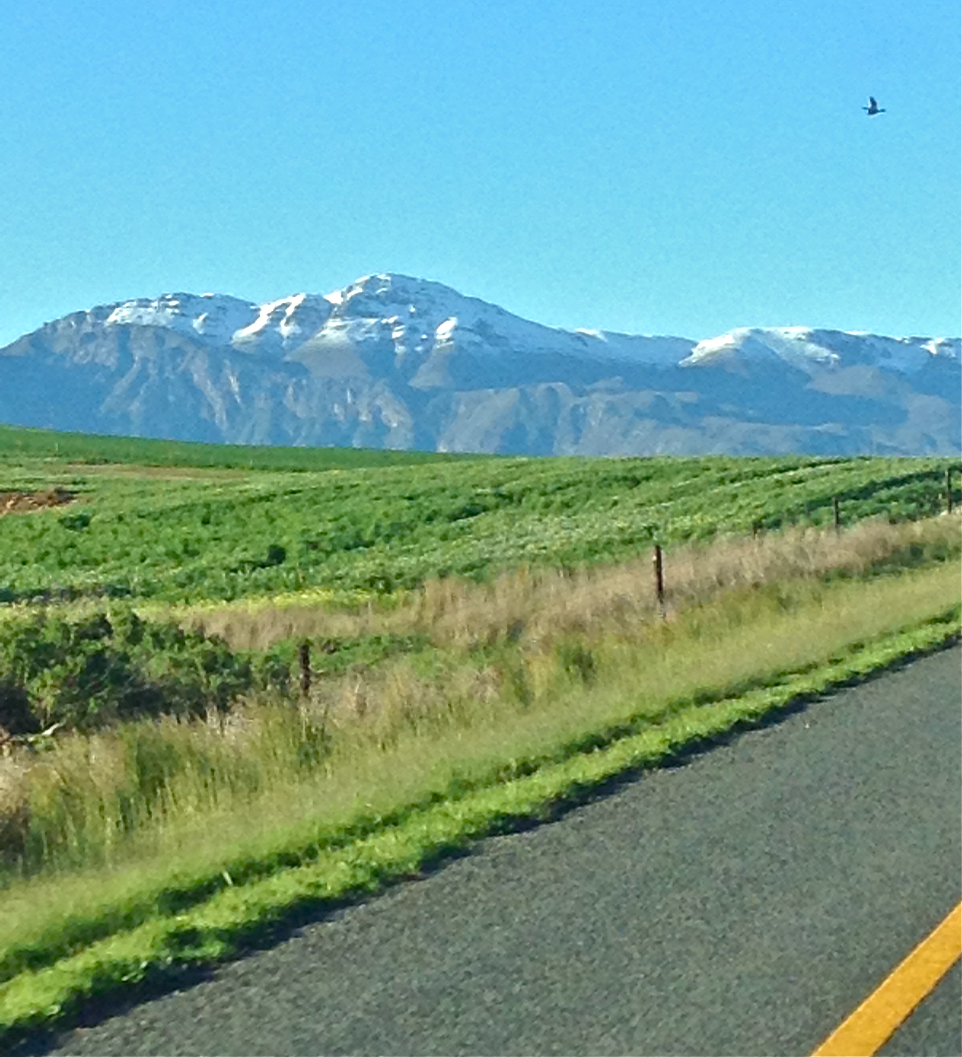 The ice-capped mountains enroute, on the N2