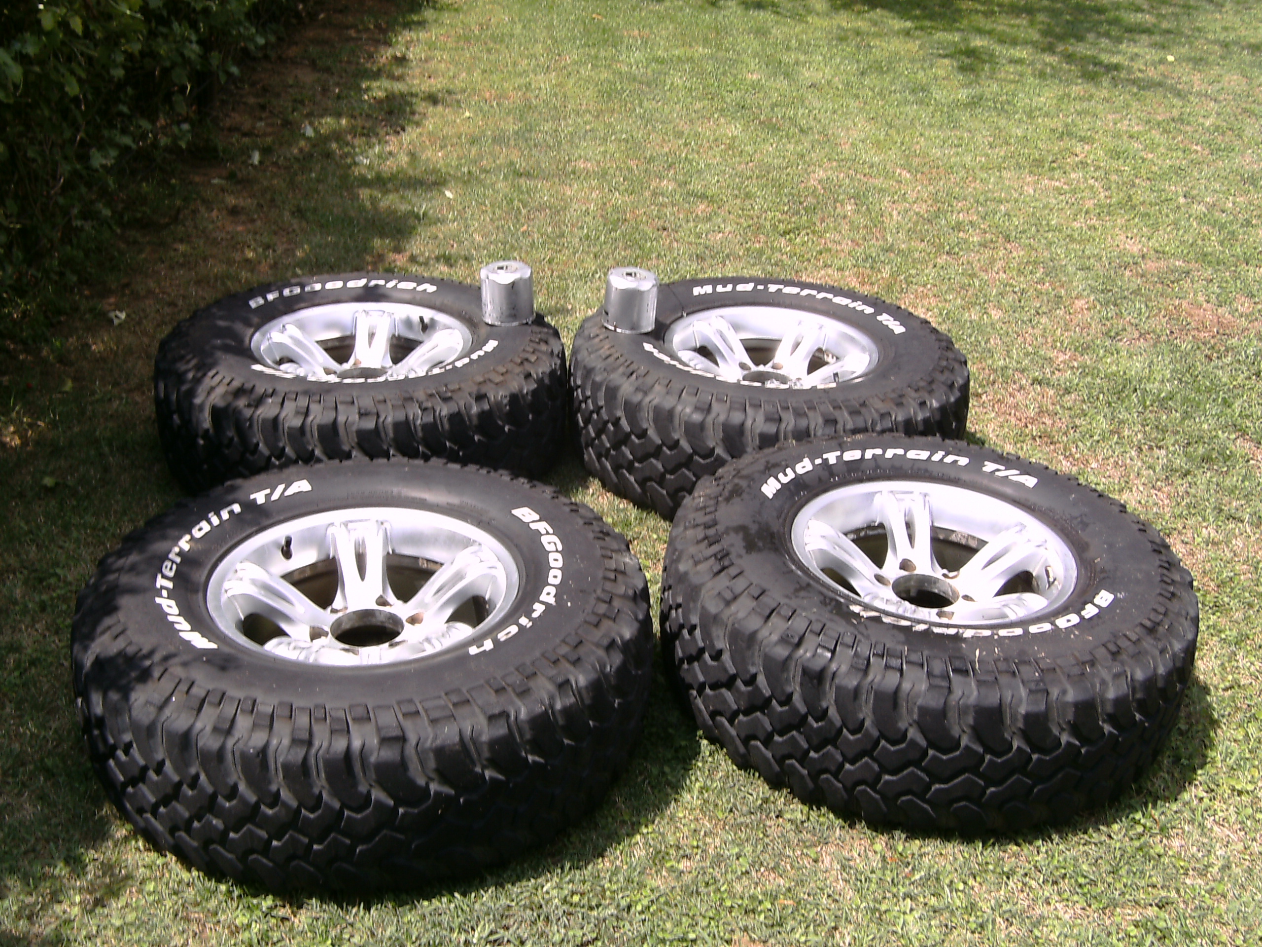 PICT1308.JPG