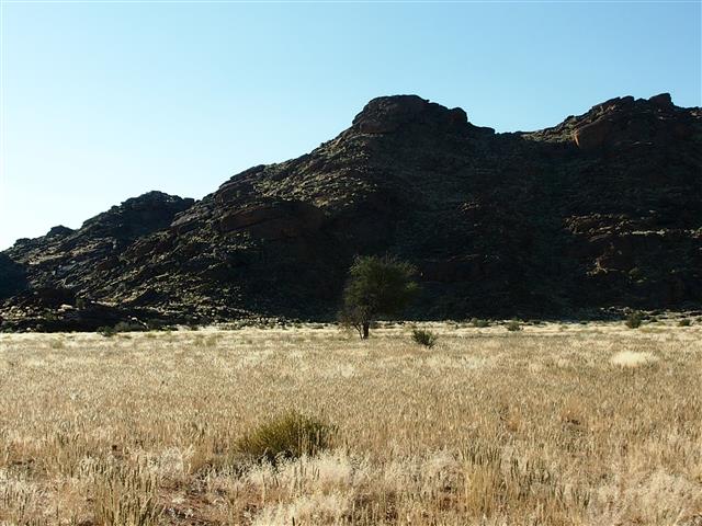 P5031451 (Small).JPG